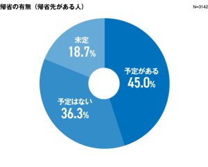 長距離帰省の秘訣！ 車次第で運転が快適に？（前編）