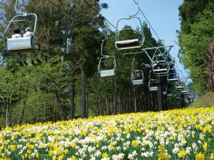 【春に行きたいお出かけスポット】自然、収穫、温泉を親子で満喫しよう！