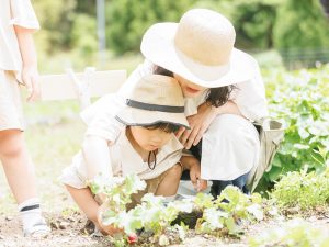 【１組様を無料招待】一軒家の里山リゾートで丁寧な時間を。親子で楽しむ自然体験