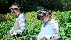 土の匂いと、ピッツァの焦げ目。リゾナーレ那須で「循環の美学」をサンプリングする夏