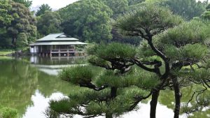 都内のお出かけにオススメ！自然と楽しめる庭園＆公園4選【2026年夏版】